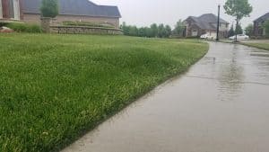 grass bubble in front yard