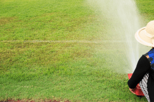 lady watering grass