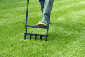 how to aerate lawn by hand