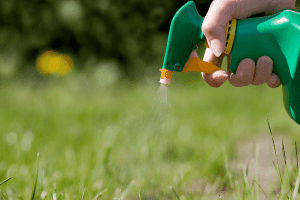 how long after spraying roundup can i plant grass seed 1