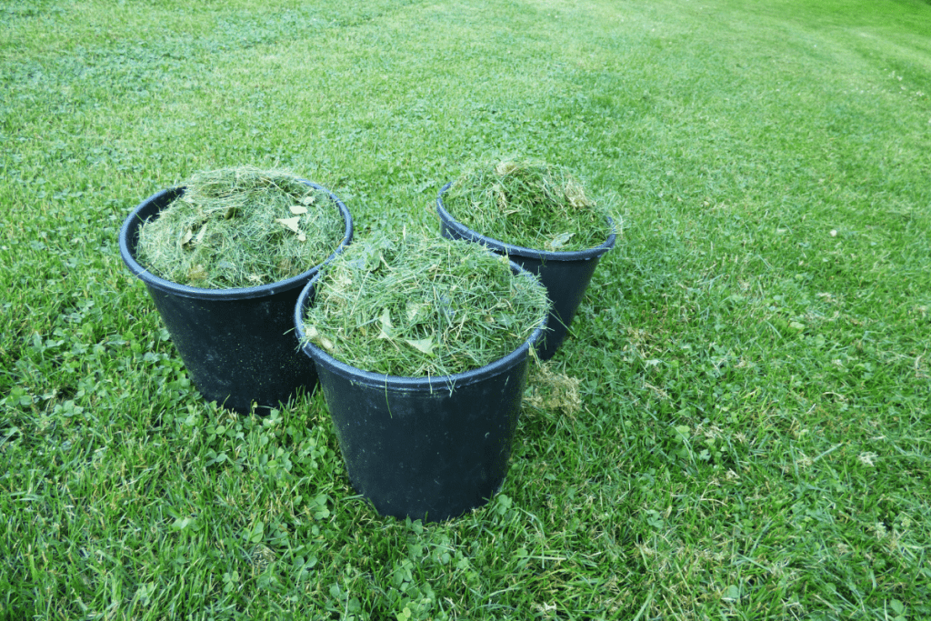 how long does it take for grass clippings to decompose