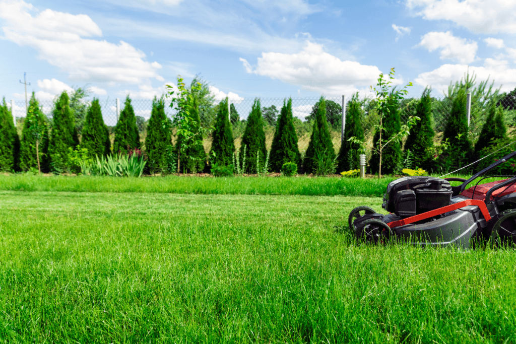 how often should you mow the lawn