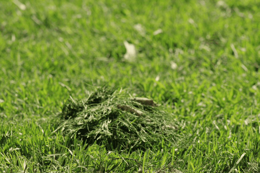how to pick up grass clippings