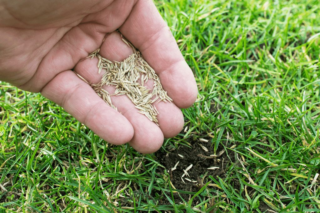 how to keep grass seed from washing away