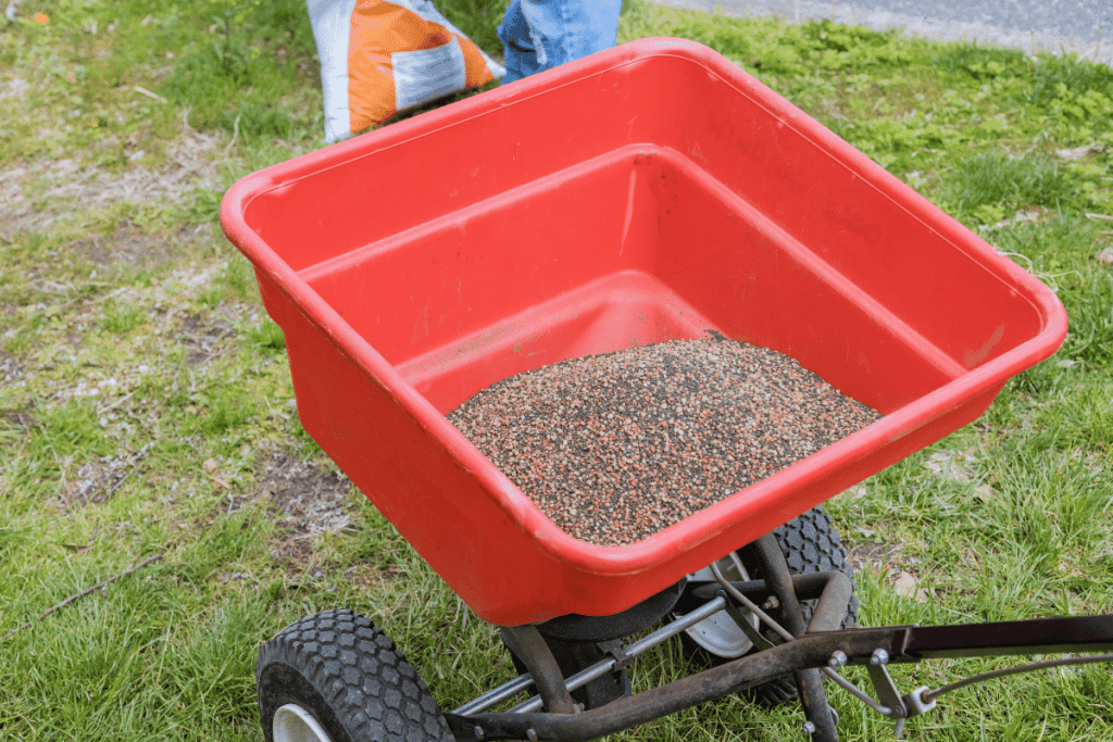 How Much Grass Seed Do You Need Per Square Foot 3