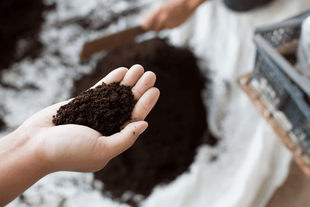 how much peat moss to cover grass seed