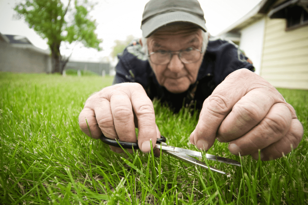 How to Cut Grass on a Steep Hill 2