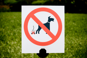 how to get rid of dog poop in the yard without scooping 1