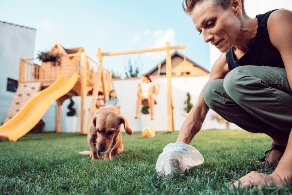 how to get rid of dog poop in the yard without scooping 2