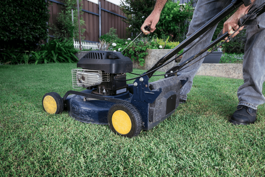 how to make st augustine grass spread quickly 2