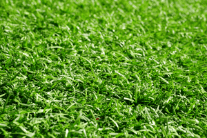 what type of fertilizer for bermuda grass 1