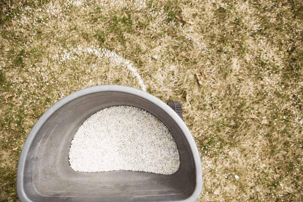 pick the right grass seed for michigan