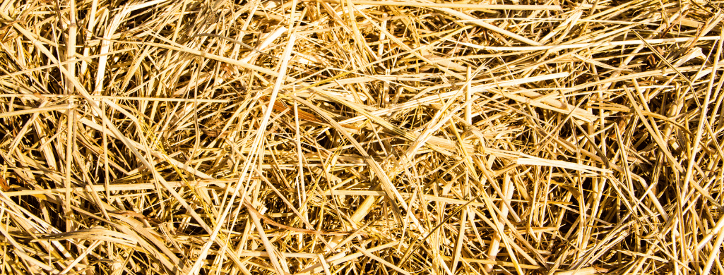 straw on grass options and protection