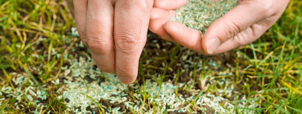 will grasss clippings help new grass